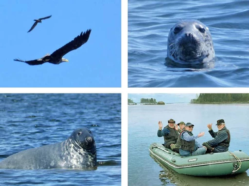 Upplev havet med dagliga båtturer i Axmar bruk