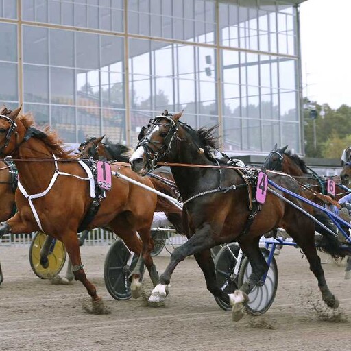 Kickstarta nyårshelgen på Gävletravet, STL med V75 E3 Revans