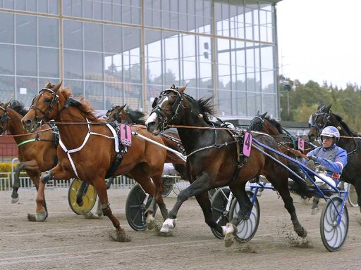 Kickstarta nyårshelgen på Gävletravet, STL med V75 E3 Revanschen - Ston