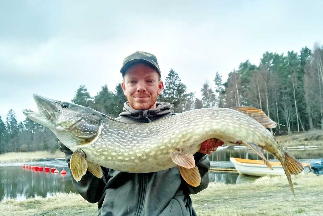 Fiskeguiden Marcus Grip med Söderhamnsgäddan som vägde 11,06 kg och mätte hela 113 cm på längden.