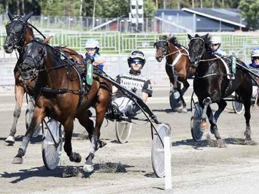 Kevin Svedlund ny A-tränare på Gävletravet