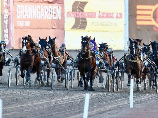 Dubbelfest på Gävletravet lördag 19 november