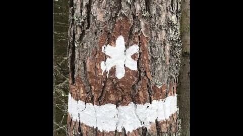 Projekt Affärsutvecklingsprogram Naturturism i skyddad natur