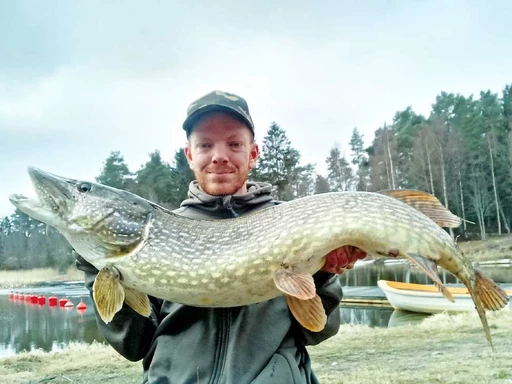 Boka kanot med fiskeguide i Söderhamn