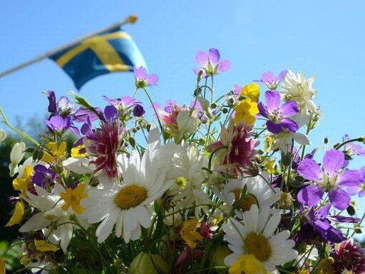 Traditionellt midsommarfirande i Boulognerskogen