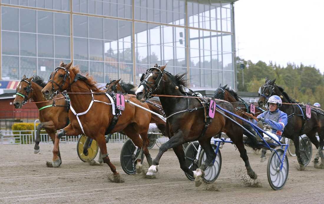 Kickstarta nyårshelgen på Gävletravet, STL med V75 E3 Revanschen - Ston.