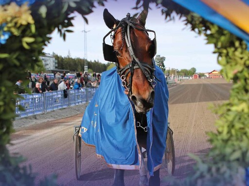 H.K.H. Prins Daniels lopp lördag 20/5 på Gävletravet