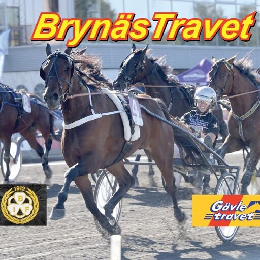 BrynäsTravet