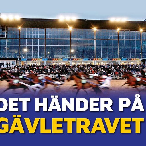 Kvällstrav på Gävletravet