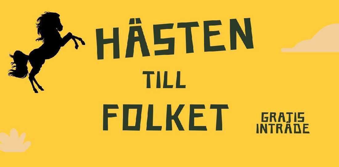 Hästen till folket - helg fylld med hästglädje i Gävle.